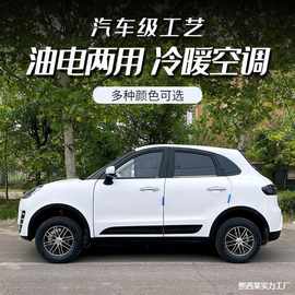 接送汽车家用两用新能源成人四轮代步代步车电动轮4小型能源电电