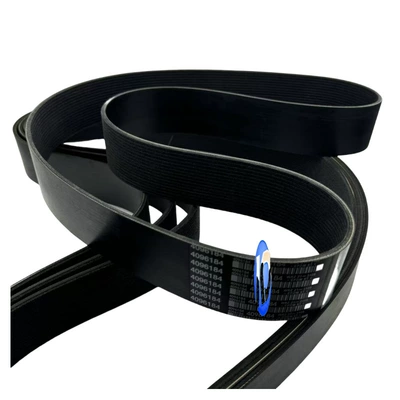 belt 4096184 9PK975, Belt