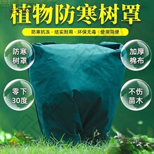 ��˪����ֲ�ﻨ�ܷ����^���������ط�ѩ���L������͸���ֱ���̫��