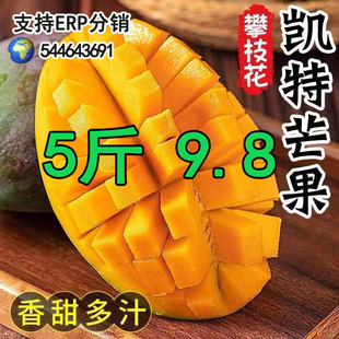 ���ڄP��â���râ������ˮ���Ĵ�������Ƥ��â�Fժ�������