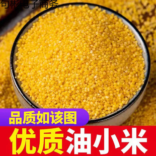 ��С�� �SС��������aС�S�� �r�ҽ���������������s�Z2��