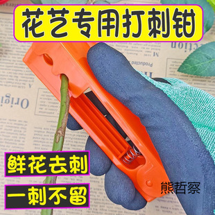 ���ϴ���Qõ�廨�������r����̊A��ȥ�̌���ˇ�廨�������b