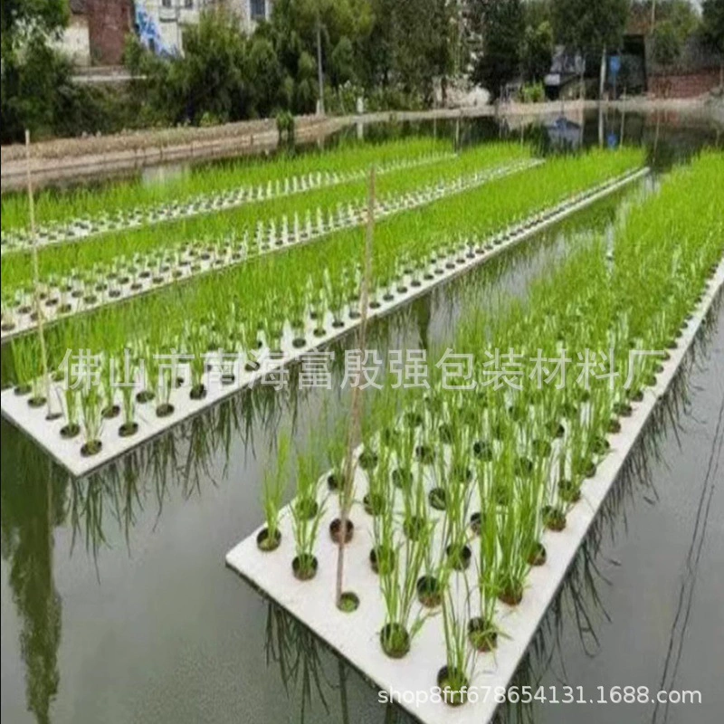 Оптовая продажа от производителя: плавающие панели из ЭВА для беспочвенного выращивания овощей и рыб в гидропонике