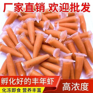 Red Brine Shrimp Frozen Brine Shrimp Eggs Super Rich Larvae Small Fish Mini Parrot Fish Nutritional Starter Feed