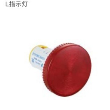 江苏双科电气LED信号灯（开孔22/25mm大头电源指示灯）AD56-22L