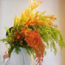 �S������ǧ�ӽ���ϻ���ֱ�l��ͥ�廨ˮ���r�������ٺ��r���S