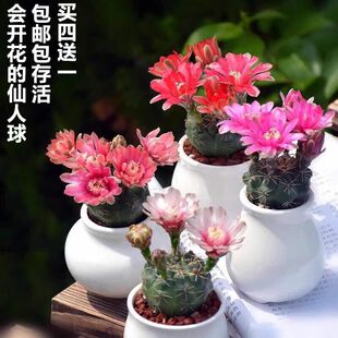 �p�����������_��Ʒ�N�҃ȿɐ�С�����������������ֲ�ﲻ����