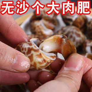 ��������������ؐ������ˮ�a���r���r��������