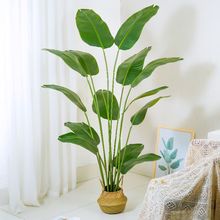 仿真绿植天堂鸟仿真花假植物盆栽室内装饰仿生客厅旅人蕉