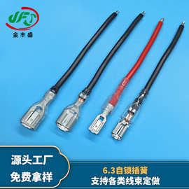 6.3自锁插簧端子线汽车喇叭连接线电器内部插簧线灯具线束连接线