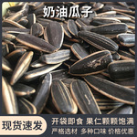 真康奶香味大瓜子大颗粒新货葵花籽炒货零食批发散装零售奶香瓜子