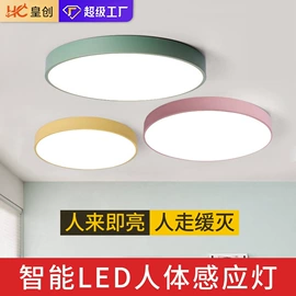 风扇灯;吸顶灯;智能家居