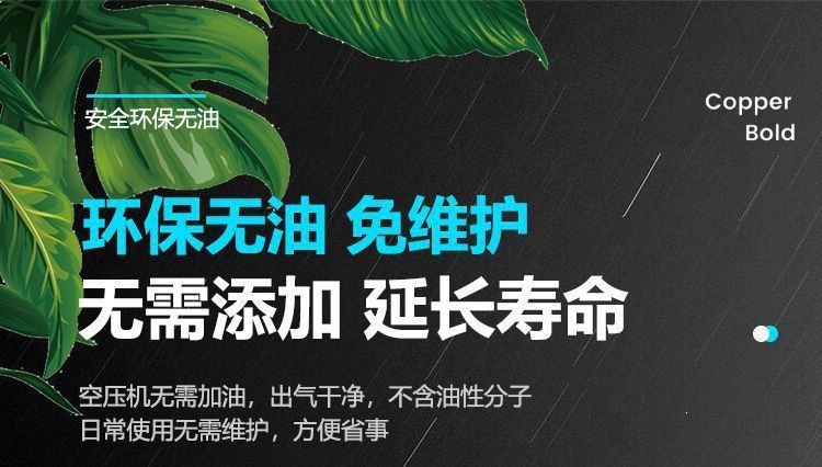 Small Oil-Free Silent Air Compressor High-Pressure 220V Household Decoration Spray Painting Woodworking Air Compressor Export