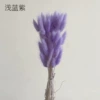 Light blue purple