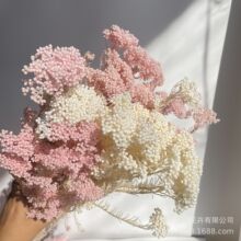 ������lƯ���׻��\ɫ���r�׻����ļҾ��bɻ��������������ײ�