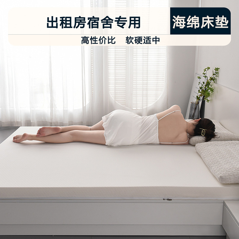 Memory sponge mattress cushion home bedroom student dormitory single tatami 1.5m sponge mat floor mat