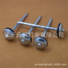 ����� �{���\ 2"XBWG12 ,2"XBWG9 ,2.5"XBWG9   3"XBWG8  ���ɫ