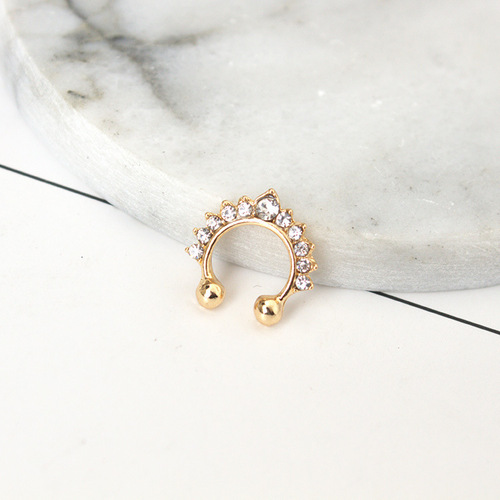 Famous Earrings for Women  New Arrival Fashion Accessory from Dongdaemun, Korea - Elegant Bone Stud Earrings with Nose Ring