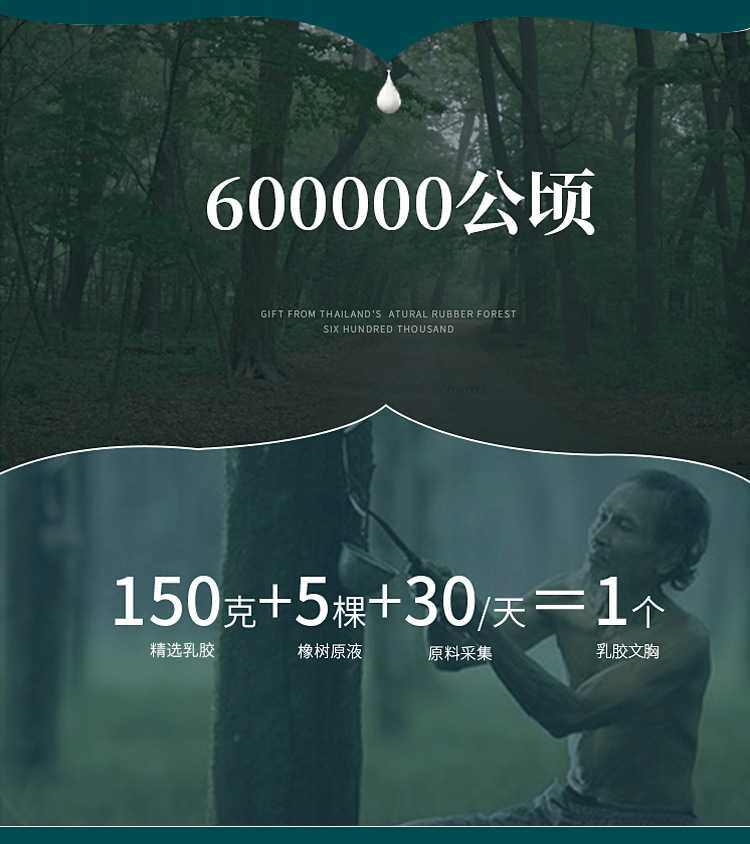 详情图_03.jpg