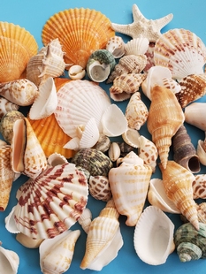 ��Ȼؐ�����ݺ��ǲ��ϰ��ֹ�diy�Ĕz�����L�Ư��ƿ�~���b����b