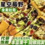 夹心星空营养全麦配料