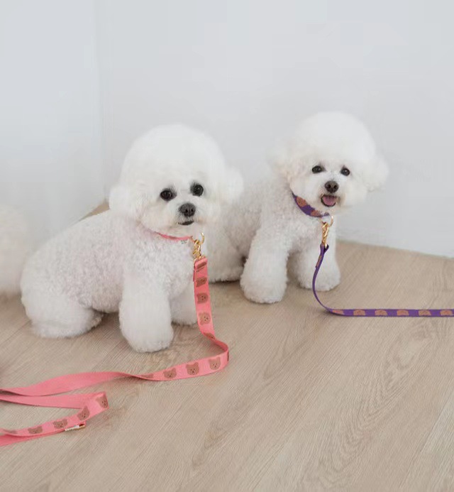 微信图片_20220620152020