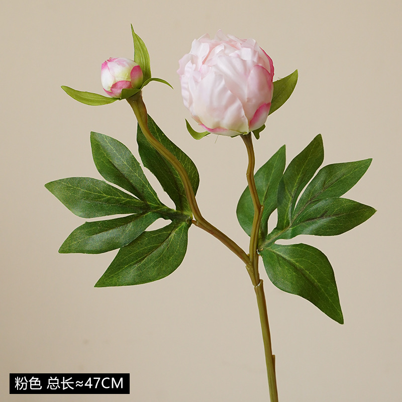 분홍색✧