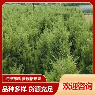 ��u��· ��@Ĺ���ɾG���Nֲ �������������ɘ�