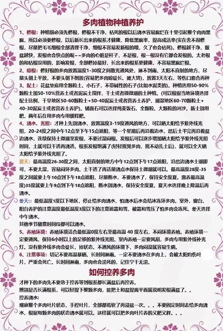 f75c4536-e605-4ddf-bd9b-e5329eef1bbf.jpe