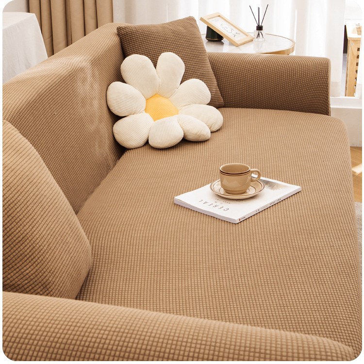 Luz del amanecer - Camel