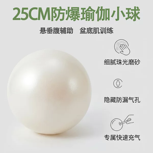 25/55cm Pilates Small Ball, Frosted Thickened Wheat Straw Ball, Explosion-Proof Fitness Ball, Pelvic Floor Muscle Training Yoga Ball