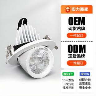 Customized Elephant Nose Lamp Intelligent Embedded Growth Lamp Clothing Store Fill Lighting Spotlight Concealed Lamp Eye Protection Led Lamp