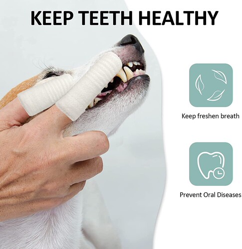 Non-woven finger cots for pet brushing, dog teeth and oral cleaning tools, cleanable cat finger toothbrushes