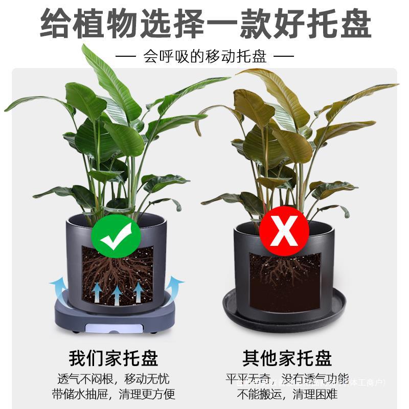 可移动花盆托盘带轮盆栽底座托盘滚轮滑轮加厚塑料万向轮接水托盘