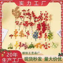 ����t��14����}�Q��ĭ�t���zӰ���߼Ҿ��bt�����lؔ������S