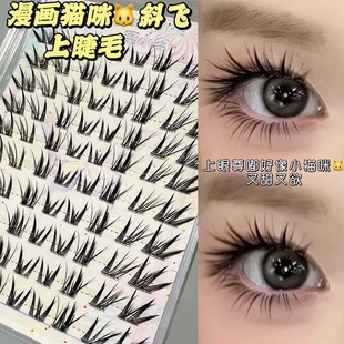 ��С������؈��б�w�ٽ�ë�������R�W�����L���ʹ�������ϵ�ٽ�ë