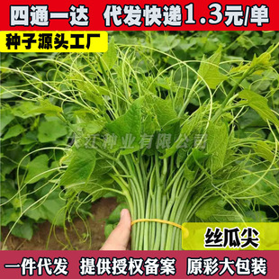 ժ�����Ϲϼ�óԽz�ϼ�N����횲��͟���ļ��z���ټ����Ϲ���