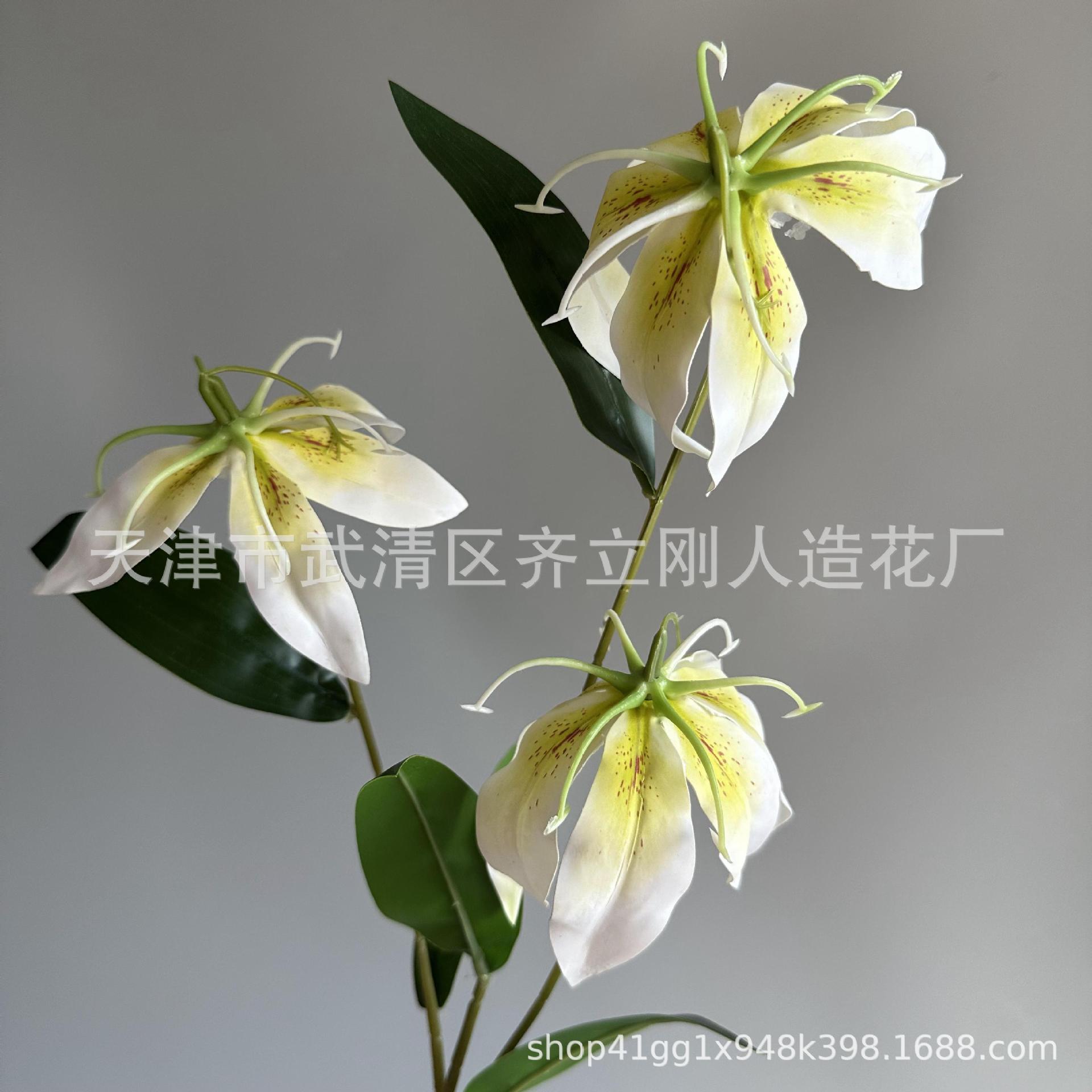 8호