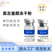 ͯ��PLLA���������� ��䄩�zԭ���������沿�������԰��y���