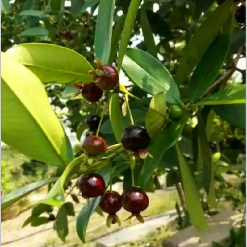 ����ӣ��001_����