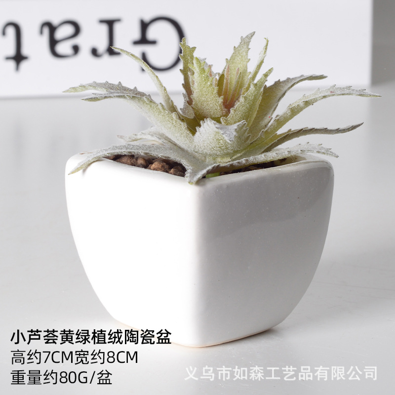 Simulación de cerámica bonsai de carne doméstica decoración de escritorio de oficina plantación verde maceta props de disparo maceta combinada artificial image 57