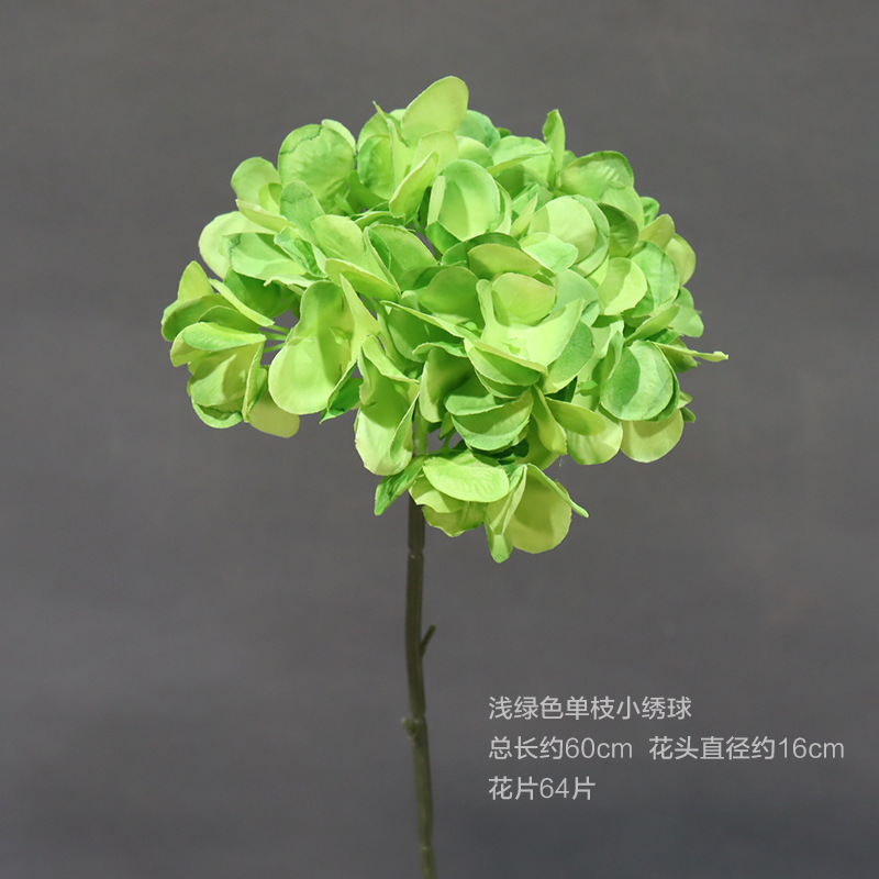 Verde luz única pequeña Hortensia