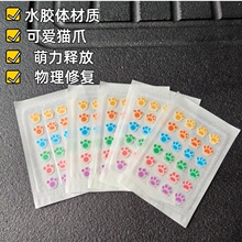 �羳�F؛��ɫˮ�z�w�����N��ͨ؈צ24�������N���x�ڶ��N�������b