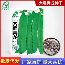 蔬菜种子;粮食作物种子;营养液