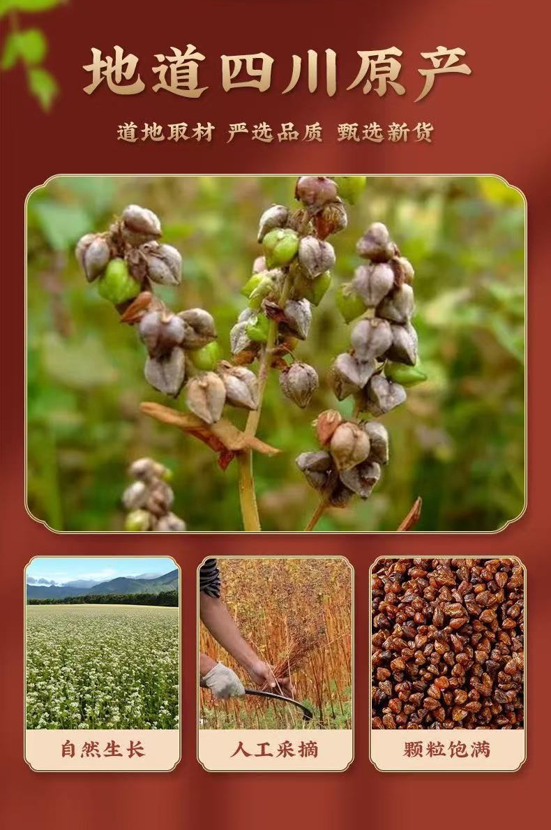 Black Tartary Buckwheat Tea Ku Qiao Cha 250g Canister Sugar Free Cold Brew Sichuan Liangshan Style preparation