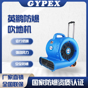 Yingpeng Explosion-Proof Floor Blower Laboratory Chemical Factory Warehouse Pharmaceutical Factory Dehumidification Air Drying Floor Blower