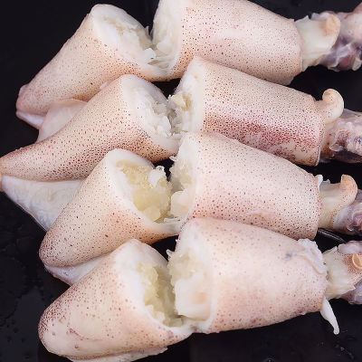 Aplysia Seed Orchard Seed Orchard fresh Barrel Cuttlefish squid octopus Betta Seafood wholesale