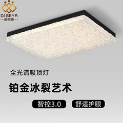 迪格雅意式は極めてシンプルで豪華で高級感があります。