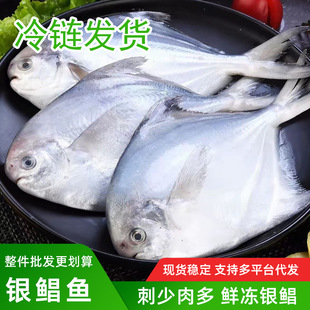 ���r�y�K�~�������6�l���K�~ƽ�~�K�c�~���K�~�ǽ��K�~���rˮ�a
