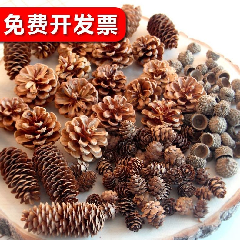 松果装饰松塔橡果干花手工diy森林幼儿园环创干树枝野生创意摆件